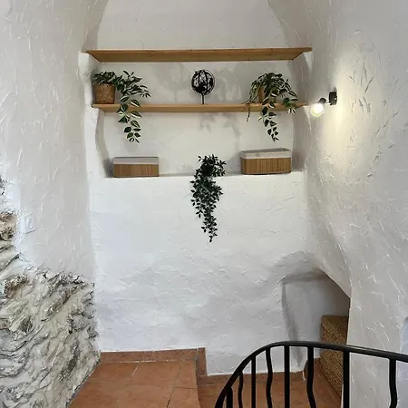 Nid Douillet A Apartment Hyeres